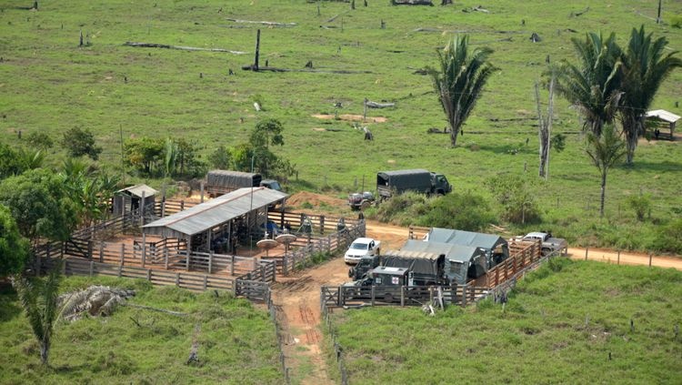 KURARITINGA Operação conjunta é deflagrada em área indígena para